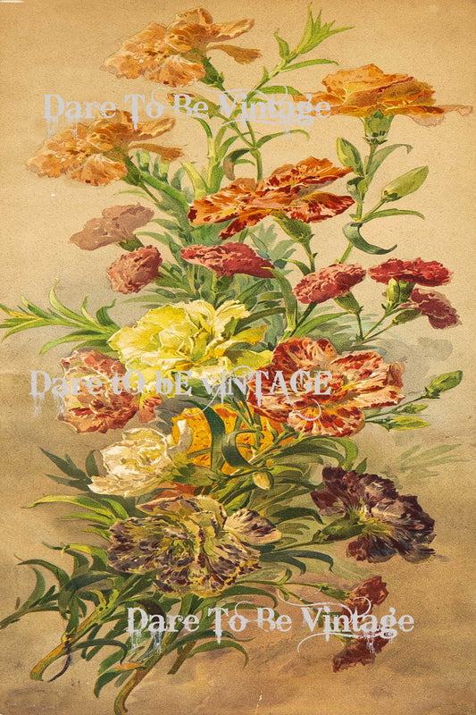 'Ruffled Posey' Floral Decoupage Paper