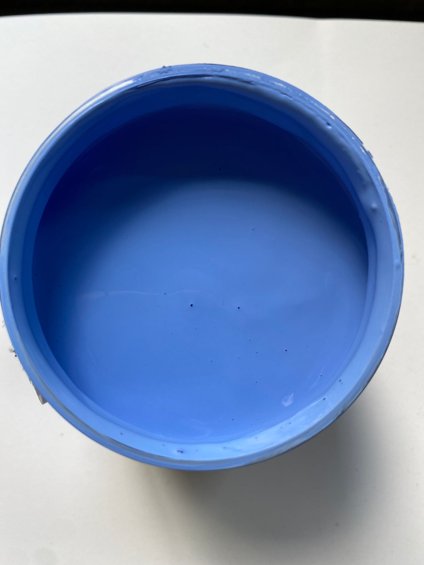 Water Lilly DIY Paint
