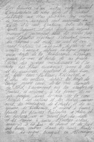 'Vintage Script' Rustic Script Decoupage Paper
