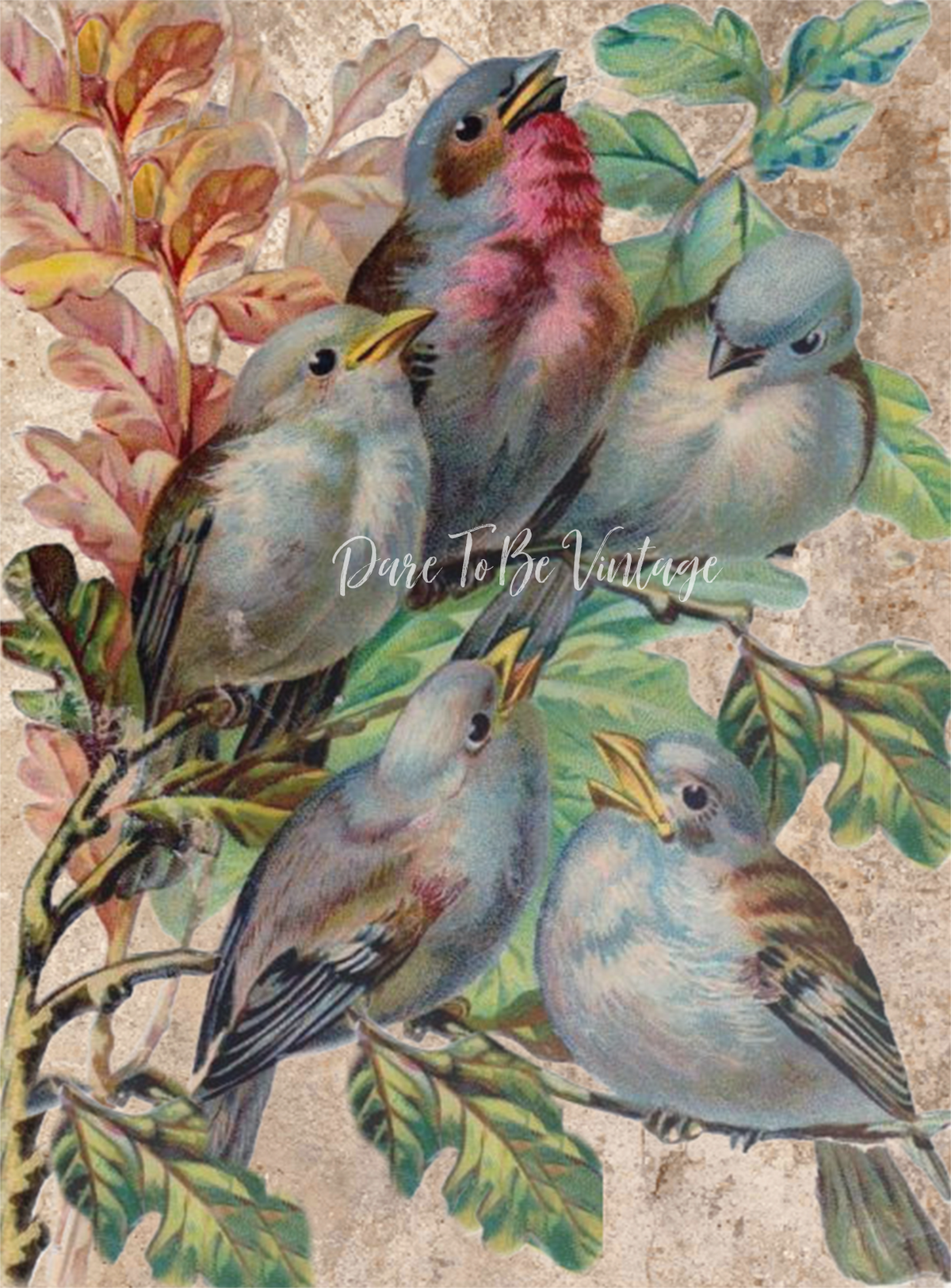 Dare To Be Vintage Decoupage Paper