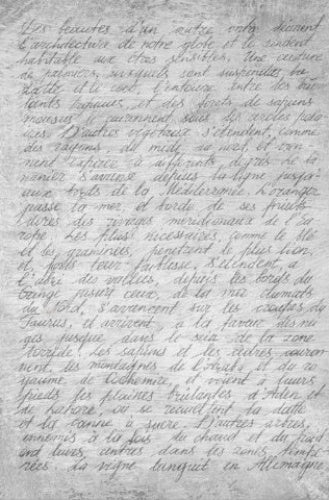'Vintage Script' Rustic Script Decoupage Paper